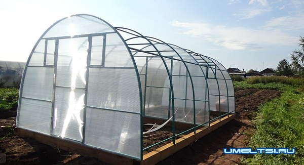 6 идей, как сделать теплицу лучше
