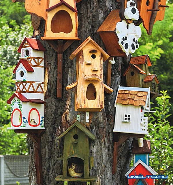 Оригинальный скворечник своими руками Оригинальный скворечник своими руками