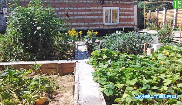 Как построить дом на одну пенсию Как построить дом на одну пенсию