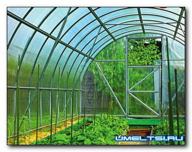 Теплица из поликарбоната своими руками: пошаговая инструкция