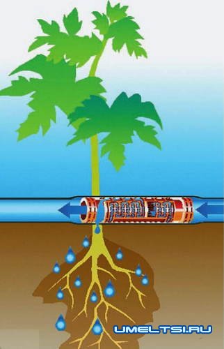 системы автоматического полива