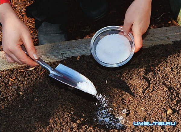 Автополив в теплице