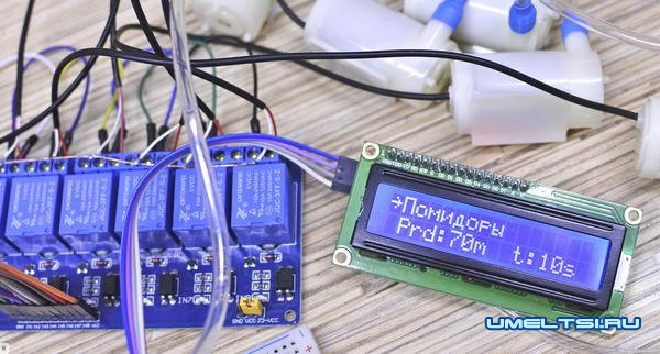 Умная теплица - система автополива на Arduino Умная теплица - система автополива на Arduino