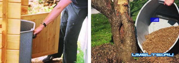 Биотуалет для дачи Биотуалет для дачи