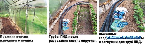 Модернизация капельного полива в теплице