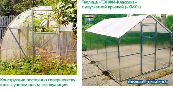 Теплицы из поликарбоната: преимущества и недостатки