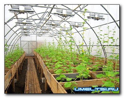 Отопление теплицы: лучшие способы обогрева