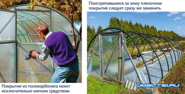 Уход за теплицей Уход за теплицей