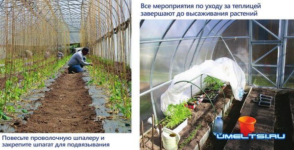 Уход за теплицей Уход за теплицей