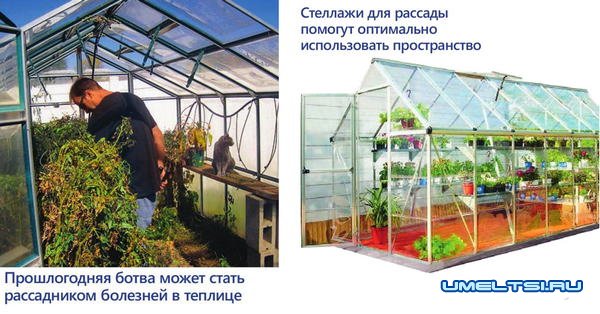 Уход за теплицей Уход за теплицей