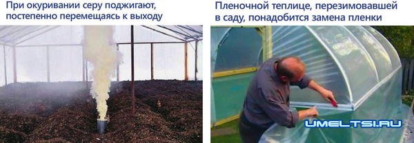 Уход за теплицей Уход за теплицей