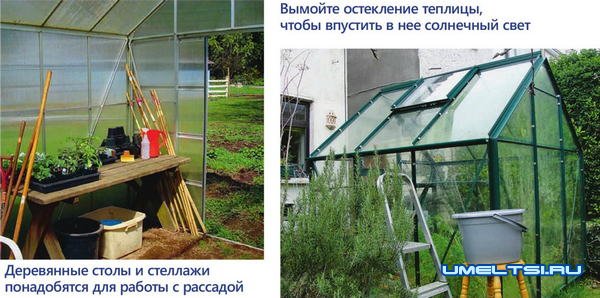 Уход за теплицей Уход за теплицей