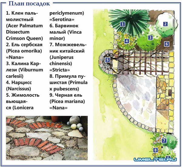 оформления зоны барбекю оформления зоны барбекю