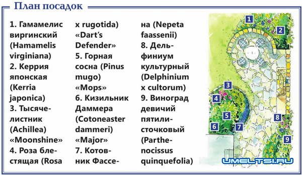 оформления зоны барбекю оформления зоны барбекю