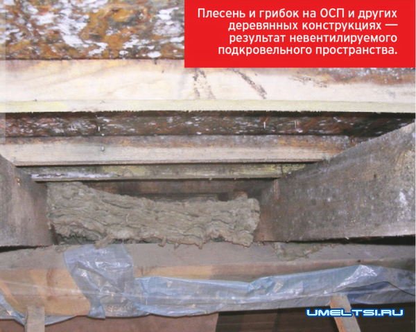 Вентиляция подкровельного пространства