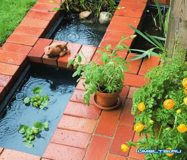 Мини пруд на даче своими руками Мини пруд на даче своими руками