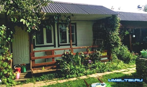 Строим летнюю кухню-беседку Строим летнюю кухню-беседку