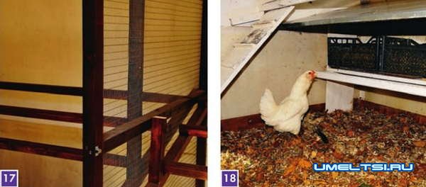 Строим капитальный, утепленный курятник Строим капитальный, утепленный курятник