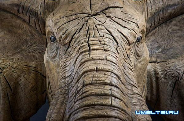 Примеры работ резьбы по дереву Примеры работ резьбы по дереву