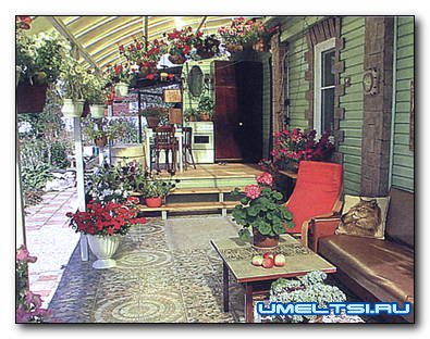 Как построить просторную террасу с изогнутой крышей