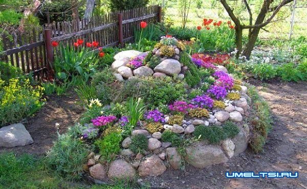 альпийские горки своими руками альпийские горки своими руками