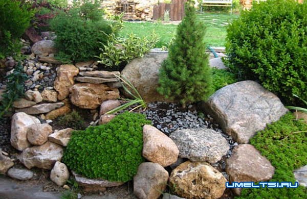 альпийские горки своими руками альпийские горки своими руками