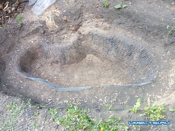 Декоративный пруд Декоративный пруд