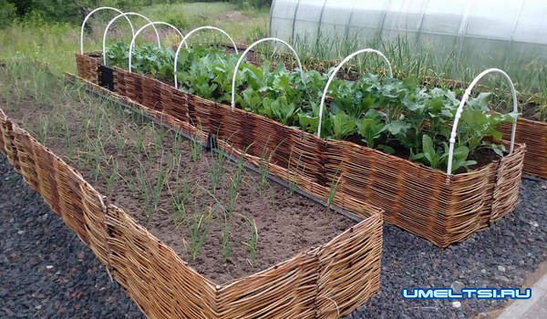 высокие грядки на участке высокие грядки на участке