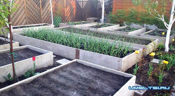 Теплые, высокие грядки на участке своими руками Теплые, высокие грядки на участке своими руками