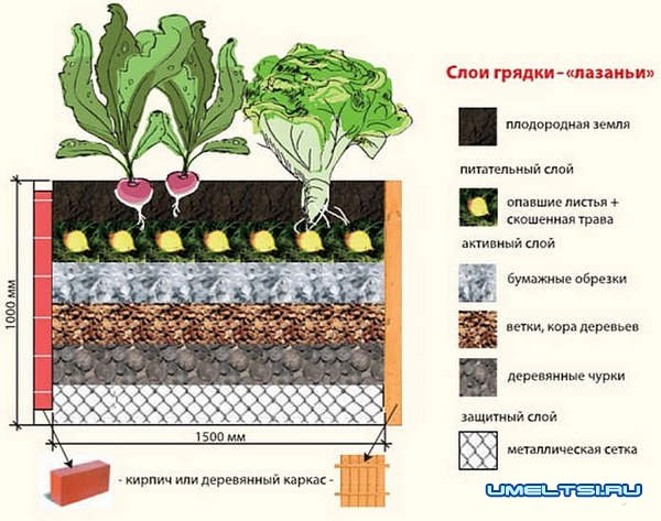 высокие грядки на участке высокие грядки на участке