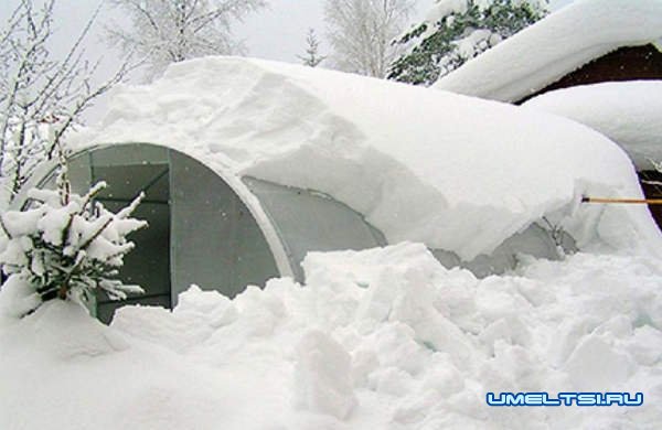 Какой поликарбонат лучше для теплицы Какой поликарбонат лучше для теплицы