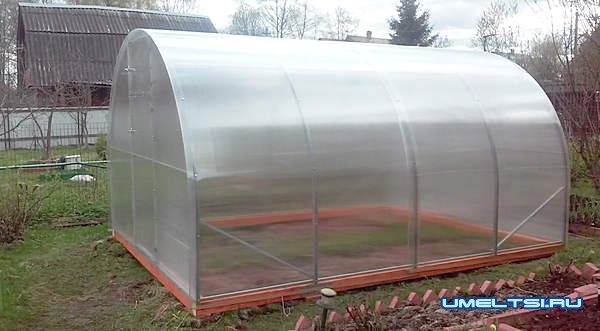 Какой поликарбонат лучше для теплицы Какой поликарбонат лучше для теплицы