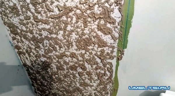 Делаем сами штукатурку Гротто Делаем сами штукатурку Гротто