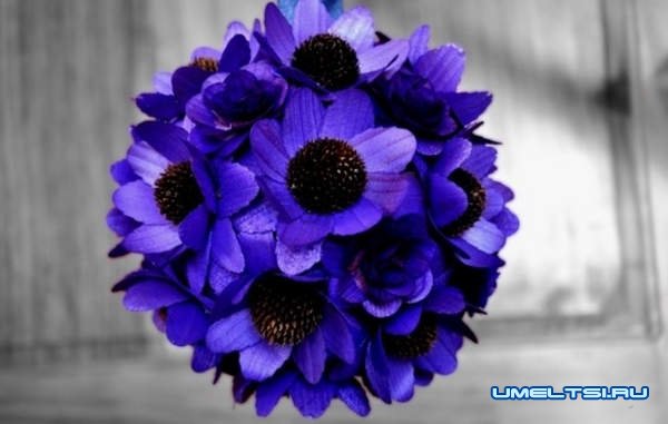 Как сделать розу из дерева Как сделать розу из дерева