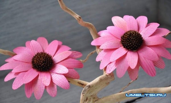 Как сделать розу из дерева Как сделать розу из дерева