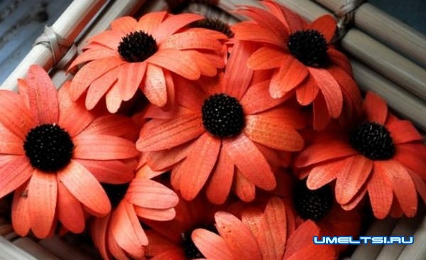 Как сделать розу из дерева Как сделать розу из дерева