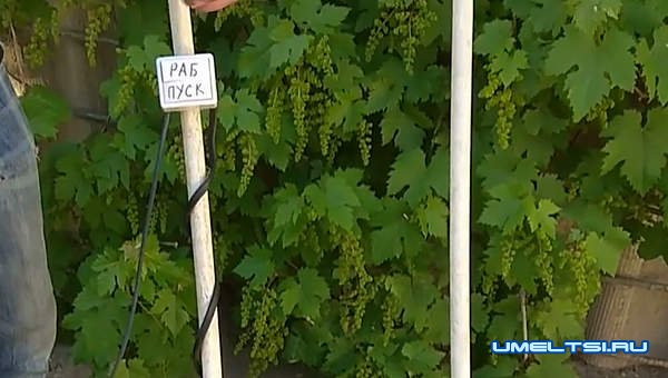 Делаем газонокосилку Делаем газонокосилку