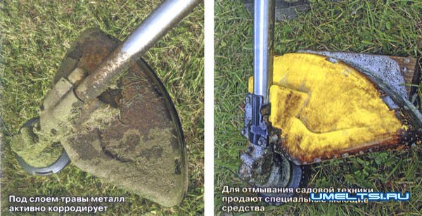 Как подготовить садовый инструмент Как подготовить садовый инструмент