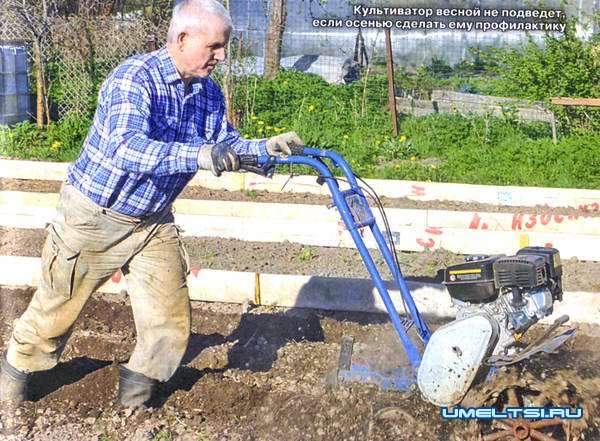 Как подготовить садовый инструмент Как подготовить садовый инструмент