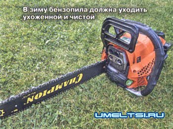 Как подготовить садовый инструмент Как подготовить садовый инструмент