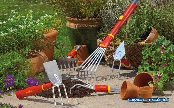 Как подготовить садовый инструмент к зиме Как подготовить садовый инструмент к зиме