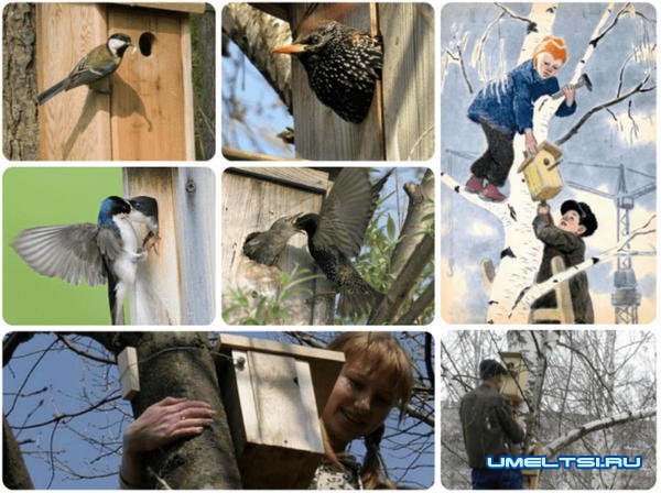 Примеры оригинальных скворечников Примеры оригинальных скворечников