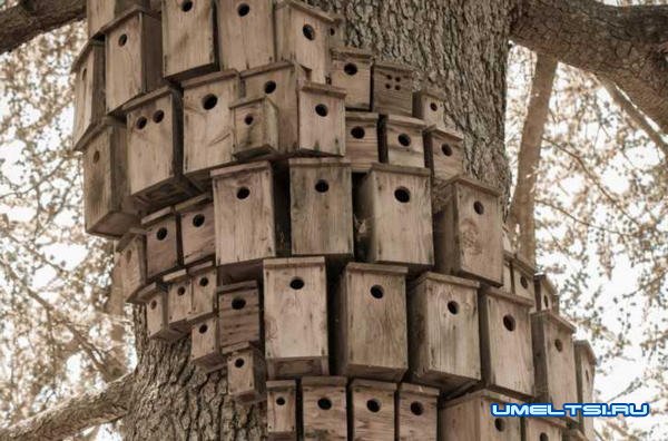 Примеры оригинальных скворечников Примеры оригинальных скворечников
