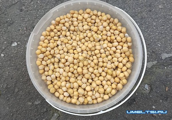 Универсальной прикормка, лучше покупной Универсальной прикормка, лучше покупной