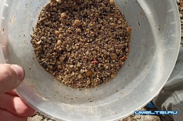 Универсальной прикормка, лучше покупной Универсальной прикормка, лучше покупной