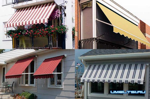 Маркиза Маркиза