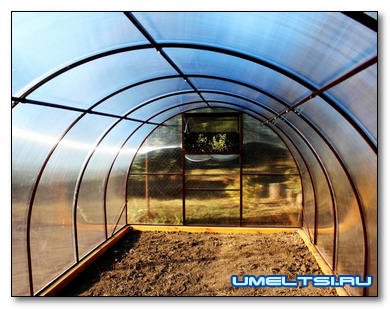 Как построить грамотно теплицу: из опыта дачника