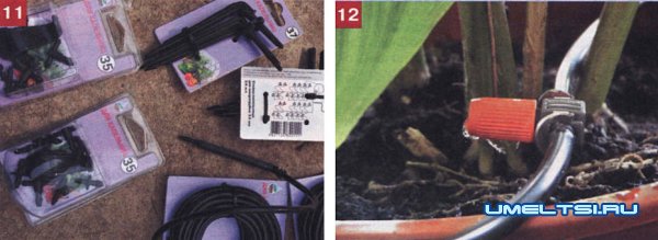 Как построить грамотно теплицу