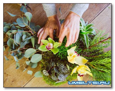 Фито-композиции из мха выгоднее, чем из живых растений