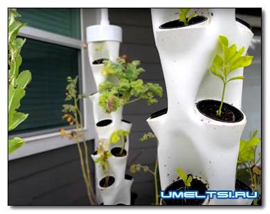 Как сделать вертикальную гидропонную систему: конструкция из 4 башен